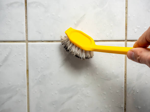 Best Residential Mold Remediation in Seabrook, TX